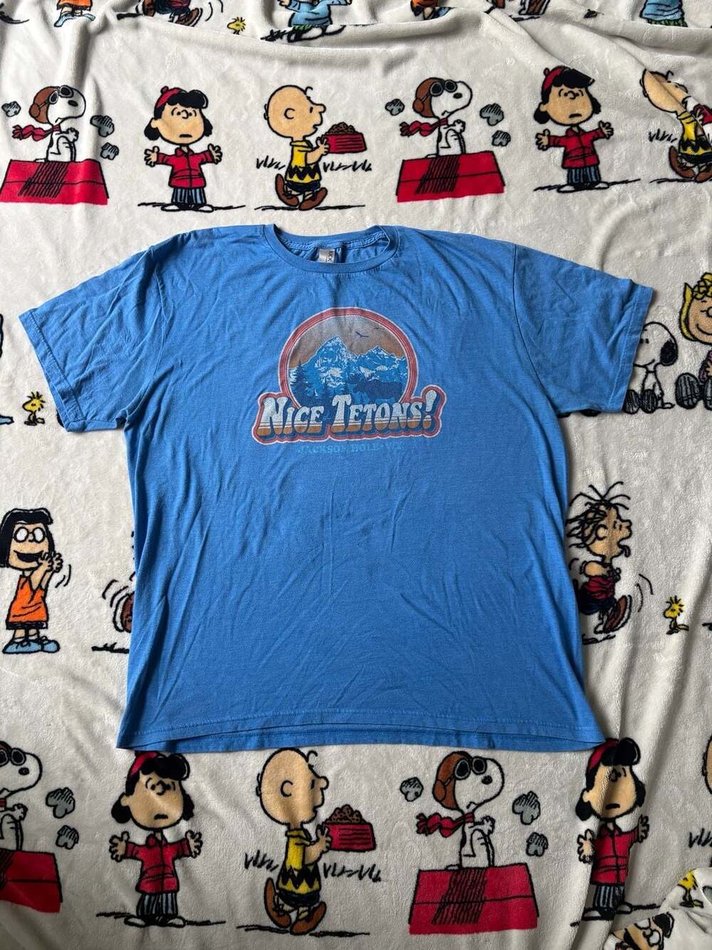 Humor Tee Duck Co Nice Tetons Jackson Hole T-Shirt Size XL Blue Graphic Tee